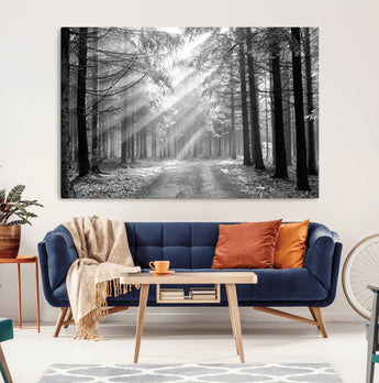 39665-MGV-CV-36X24-Black and White Forest Path Wall Art – Sunlight Rays in Trees Canvas Print, Nature Landscape Decor for Living Room or Office