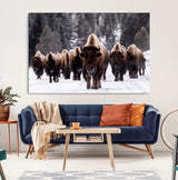 66871-MGV-CV-36X24-Bison Herd Wall Art – Wildlife Buffalo Canvas Print, Rustic Western Nature Photography Decor for Living Room, Office, Cabin, or