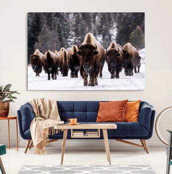 66871-MGV-CV-36X24-Bison Herd Wall Art – Wildlife Buffalo Canvas Print, Rustic Western Nature Photography Decor for Living Room, Office, Cabin, or