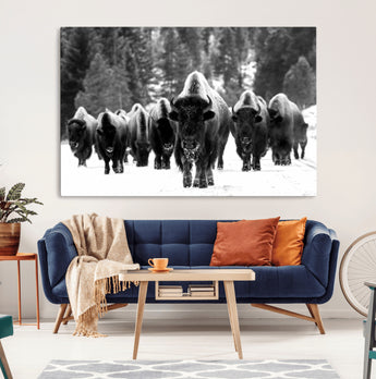 62434-MGV-CV-36X24-Bison Herd Wall Art – Majestic Black and White Buffalo Canvas Print, Wildlife Nature Photography Decor for Living Room, Office or
