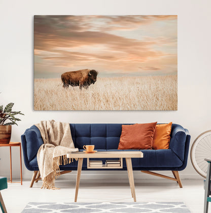 99699-MGV-CV-36X24-Bison in Prairie at Sunset – Wildlife Photography Print, American Buffalo Wall Art, Nature Landscape Canvas Decor for Office