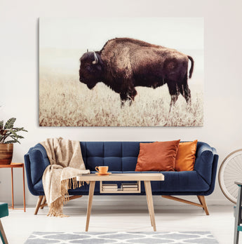 48406-MGV-CV-36X24-American Bison Wall Art – Rustic Buffalo Canvas Print in Prairie Field, Western Wildlife Photography Decor for Cabin, Lodge,