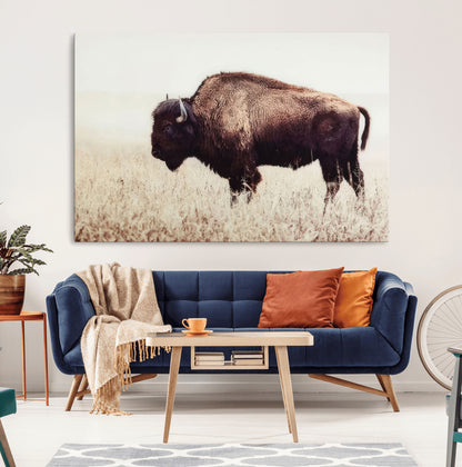 48406-MGV-CV-36X24-American Bison Wall Art – Rustic Buffalo Canvas Print in Prairie Field, Western Wildlife Photography Decor for Cabin, Lodge,
