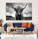17924-MGV-CV-36X24-Highland Cow Wall Art – Black and White Rustic Longhorn Cattle Canvas Print, Farmhouse Animal Photography Decor for Country Home