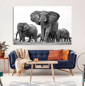 91685-MGV-CV-36X24-Elephant Herd Wall Art – Black and White Safari Canvas Print, African Wildlife Photography Decor for Living Room, Office or