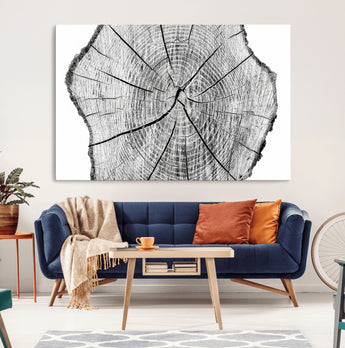 98709-MGV-CV-36X24-Tree Ring Wall Art – Black and White Canvas Print Rustic Wood Cross Section, Minimal Nature Inspired Decor for Living Room,