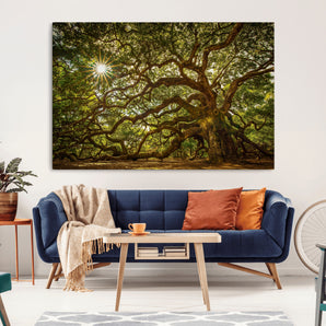 57983-MGV-CV-36X24-Angel Oak Tree Wall Art Canvas Print, Framed Oak Tree Art Picture Print, Angel Oak Perfect Rustic Nature Decor Artwork