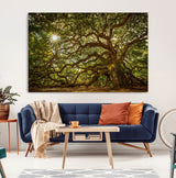 57983-MGV-CV-36X24-Angel Oak Tree Wall Art Canvas Print, Framed Oak Tree Art Picture Print, Angel Oak Perfect Rustic Nature Decor Artwork