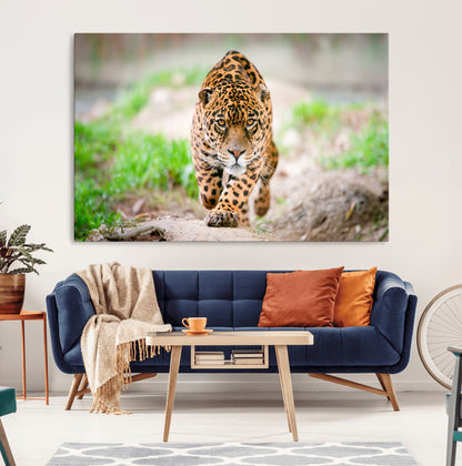 75066-MGV-CV-36X24-Leopard Wall Art Canvas Print, Framed Wild Animal Art Picture Print, Blue Eye Leopard Perfect Wild Minimal Decor Artwork
