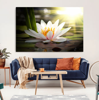60352-MGV-CV-36X24-White Water Lily Wall Art – Lotus Flower Canvas Print with Sunlight Reflection, Peaceful Botanical Artwork for Living Room,