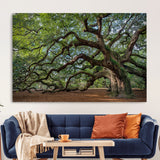 MGV-CV-36X24 - Historic Tree Wall Art Canvas Print, Framed Mossy Tree Art Picture Print, Twisted Branches Perfect Nature Southern Decor Artwork