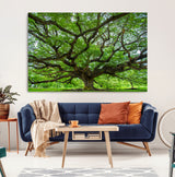 49375306-MGV-CV-36X24-Ancient Tree Wall Art Canvas Print, Framed Sprawling Branches Art Picture Print, Gnarling Tree Perfect Earthy Natural Decor