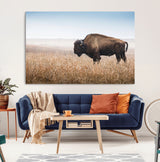 91267849-MGV-CV-36X24-Wild Bison Wall Art Canvas Print, Framed Bison in Prairie Art Picture Print, Rustic Western Perfect Rustic Western Decor Artwork