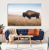 99620201-MGV-CV-36X24-Wild Bison Wall Art Canvas Print, Framed Bison in Prairie Art Picture Print, Rustic Western Perfect Rustic Western Decor Artwork