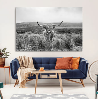 24051061-MGV-CV-36X24-Monochrome Highland Cow Wall Art Canvas Print, Framed Scottish Bull Art Picture Print, Lone Cattle Perfect Rustic Farmhouse Decor