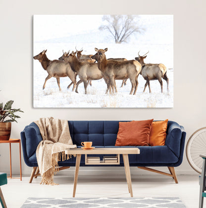 68738684-MGV-CV-36X24-Winter Elk Scene Wall Art Canvas Print, Framed Wildlife Photography Art Picture Print, Snowy Deer Decor Perfect Rustic Lodge Decor