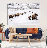 13891210-MGV-CV-36X24-Bison Herd Scene Wall Art Canvas Print, Framed Western Wildlife Decor Art Picture Print, Snowy Mountain Valley Perfect Rustic