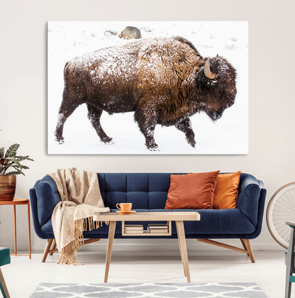 94261165-MGV-CV-36X24-Snowy Buffalo Wall Art Canvas Print, Framed Wildlife Photography Art Picture Print, Brown Tones Perfect Rustic Lodge Decor Decor
