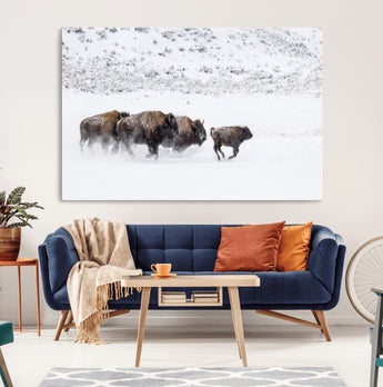 61161423-MGV-CV-36X24-Running Bison Herd Wall Art – Winter Buffalo Canvas Print, Wildlife Photography Decor for Rustic Living Room, Farmhouse, Lodge,