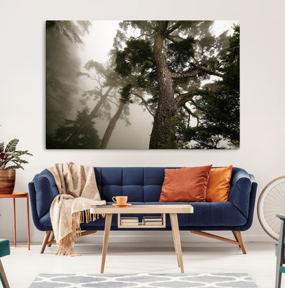 87969493-MGV-CV-36X24-Forest Wall Art – Misty Tall Trees Canvas Print, Dramatic Woodland Photography Decor for Bedroom, Living Room, Office, Cabin,
