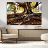 53335-MGV-CV-36X24-Majestic Tree with Sprawling Roots Wall Art – Serene Sunlit Park Scene, Nature Canvas Print, Perfect for Living Room, Office or
