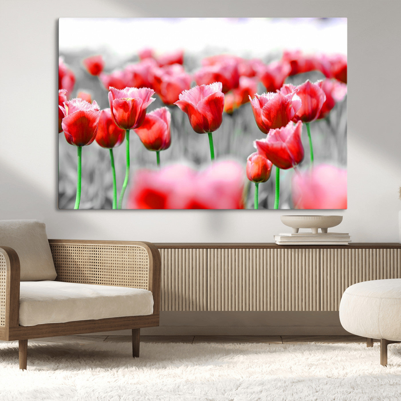44554-MGV-CV-36X24-Vibrant red tulips stand out beautifully against a black-and-white background, making a striking decor piece perfect for any home