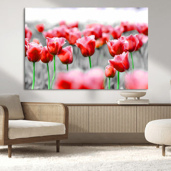 44554-MGV-CV-36X24-Vibrant red tulips stand out beautifully against a black-and-white background, making a striking decor piece perfect for any home