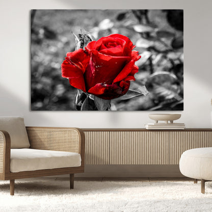 84671-MGV-CV-36X24-Red Rose Wall Art – Vibrant Single Bloom Canvas Print with Black and White Background, Elegant Floral Decor for Living Room,