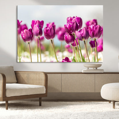 30632-MGV-CV-36X24-Purple Tulip Field Wall Art – Beautiful Spring Flowers Canvas Print with Soft Focus and Bright Sky, Ideal Floral Decor for Home or