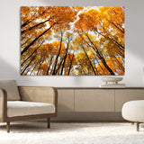 11823-MGV-CV-36X24-Golden Autumn Tree Canopy Wall Art – Stunning Fall Forest Leaves Print, Warm Seasonal Nature Decor for Home, Office or Cabin