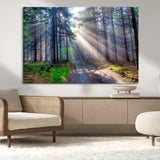 42047-MGV-CV-36X24-Sunlit Forest Path Wall Art – Nature Canvas Print, Serene Woodland Landscape, Perfect Home & Office Decor for Calm and Tranquil