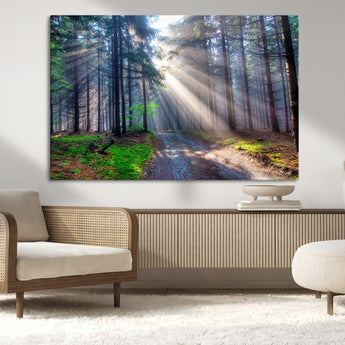 42047-MGV-CV-36X24-Sunlit Forest Path Wall Art – Nature Canvas Print, Serene Woodland Landscape, Perfect Home & Office Decor for Calm and Tranquil