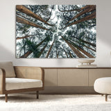 18790-MGV-CV-36X24-Pine Canopy Wall Art – Panoramic View of Towering Pines Canvas Print, Nature-Inspired Decor for Office, Cabin or Living Room