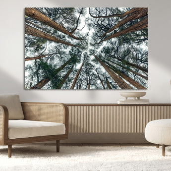 18790-MGV-CV-36X24-Pine Canopy Wall Art – Panoramic View of Towering Pines Canvas Print, Nature-Inspired Decor for Office, Cabin or Living Room