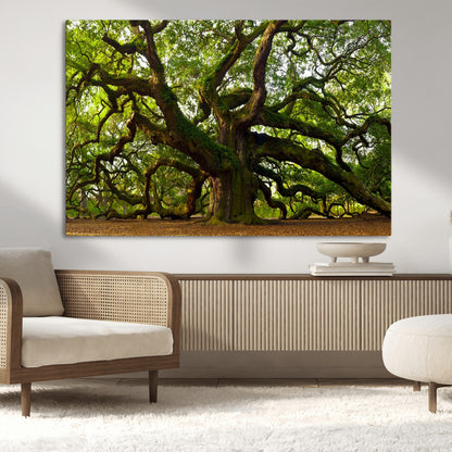 29407-MGV-CV-36X24-Ancient Oak Tree Wall Art – Majestic Nature Canvas Print, Large Tree Photography Decor for Living Room or Office