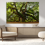 29407-MGV-CV-36X24-Ancient Oak Tree Wall Art – Majestic Nature Canvas Print, Large Tree Photography Decor for Living Room