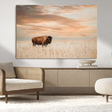 99699-MGV-CV-36X24-Bison in Prairie at Sunset – Wildlife Photography Print, American Buffalo Wall Art, Nature Landscape Canvas Decor for Office