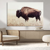 48406-MGV-CV-36X24-American Bison Wall Art – Rustic Buffalo Canvas Print in Prairie Field, Western Wildlife Photography Decor for Cabin, Lodge,