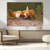 25085-MGV-CV-36X24-Sleeping Fox Wall Art Canvas Print, Framed Rustic Fox Art Picture Print, Wildlife Animal Perfect Rustic Farmhouse Decor Artwork