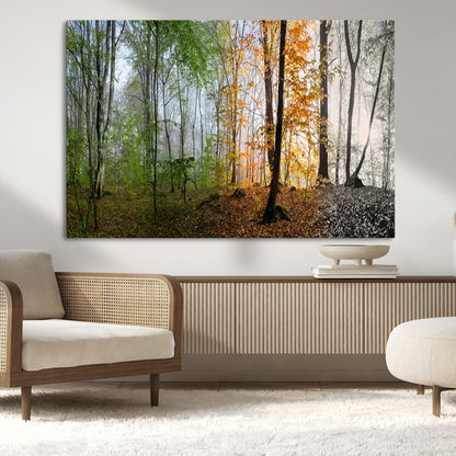 95317-MGV-CV-36X24-Four Seasons Forest Wall Art – Panoramic Nature Canvas Print Showing Spring, Summer, Autumn and Winter Landscape for Living Room,