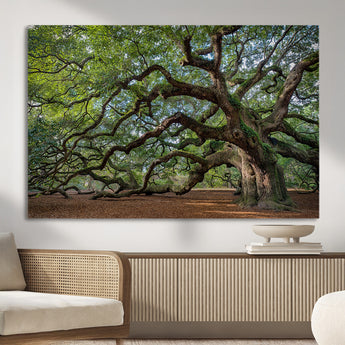 MGV-CV-36X24 - Historic Tree Wall Art Canvas Print, Framed Mossy Tree Art Picture Print, Twisted Branches Perfect Nature Southern Decor Artwork