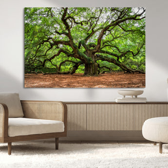 51255351-MGV-CV-36X24-Ancient Tree Wall Art – Majestic Oak Canvas Print, Large Nature Photography, Sacred Forest Landscape Wall Décor, Wisdom Tree