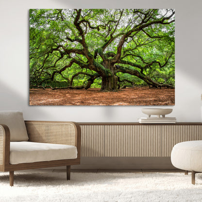 51255351-MGV-CV-36X24-Ancient Tree Wall Art – Majestic Oak Canvas Print, Large Nature Photography, Sacred Forest Landscape Wall Décor, Wisdom Tree