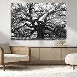 81655611-MGV-CV-36X24-Ancient Oak Wall Art Canvas Print, Framed Twisted Branches Art Picture Print, Gnarled Tree Perfect Moody Nature Decor Artwork