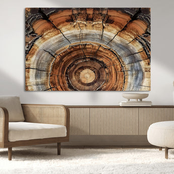 15184146-MGV-CV-36X24-Tree Rings Wall Art Canvas Print, Framed Wood Texture Art Picture Print, Rustic Pattern Perfect Rustic Organic Decor Artwork