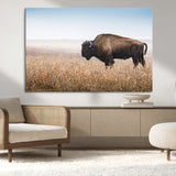 99620201-MGV-CV-36X24-Wild Bison Wall Art Canvas Print, Framed Bison in Prairie Art Picture Print, Rustic Western Perfect Rustic Western Decor Artwork