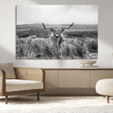 24051061-MGV-CV-36X24-Monochrome Highland Cow Wall Art Canvas Print, Framed Scottish Bull Art Picture Print, Lone Cattle Perfect Rustic Farmhouse Decor