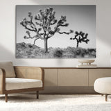 93692513-MGV-CV-36X24-Joshua Tree Wall Art Canvas Print, Framed Monochrome Desert Art Picture Print, Minimalist Nature Scene Perfect Southwestern