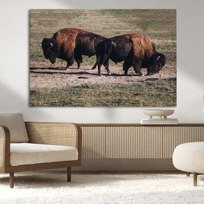 58141885-MGV-CV-36X24-Bison Photography Wall Art Canvas Print, Framed Western Wildlife Art Picture Print, Modern Ranch Perfect Western Rustic Decor