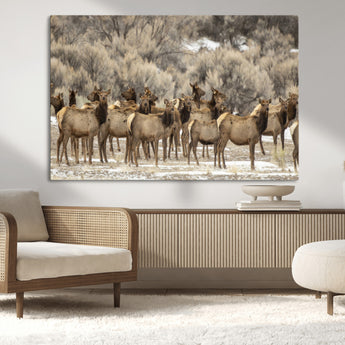 93076148-MGV-CV-36X24-Elk Herd Wall Art – Wildlife Canvas Print of Elk in Winter Landscape, Rustic Western Cabin & Lodge Décor, Nature Photography for